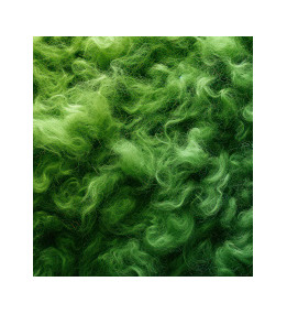 Symbolbild Netzwerk TexFa