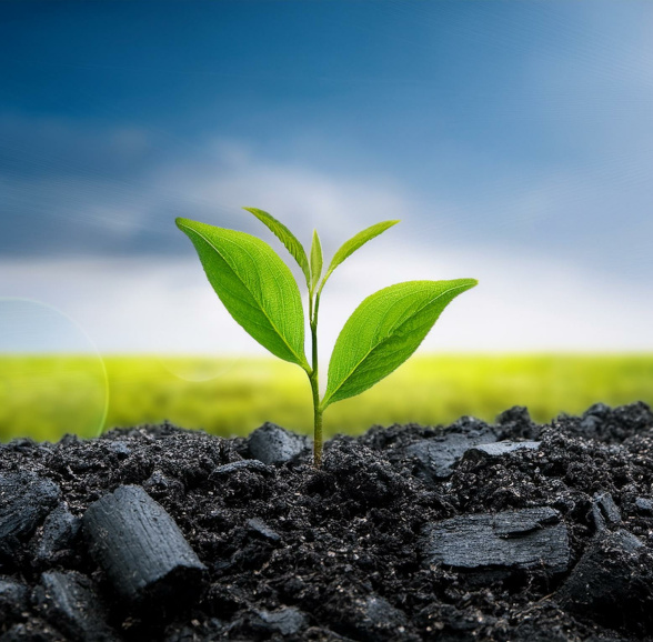 ZIM-Netzwerk PyroNet