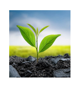 ZIM-Netzwerk PyroNet